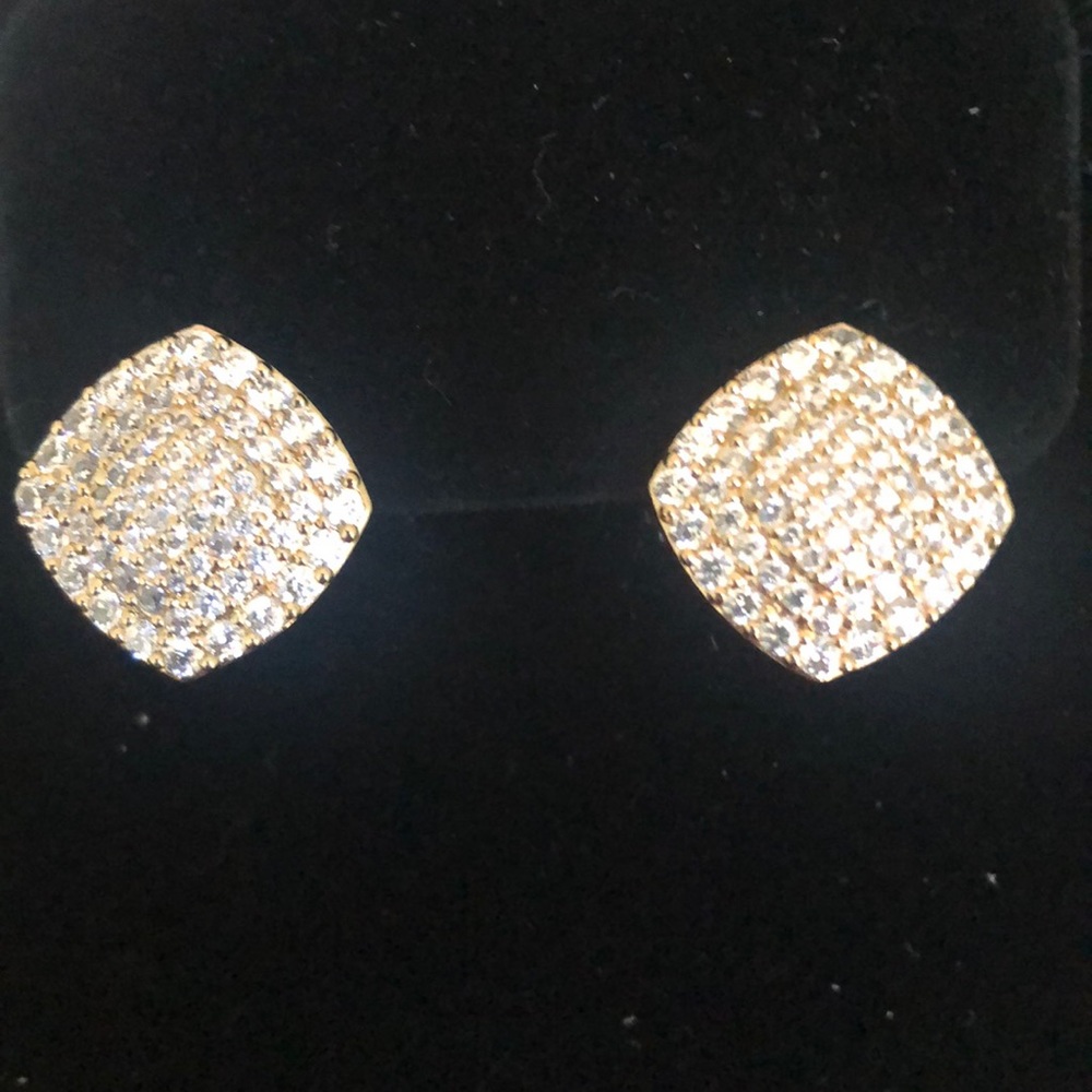 Gorgeous Earrings